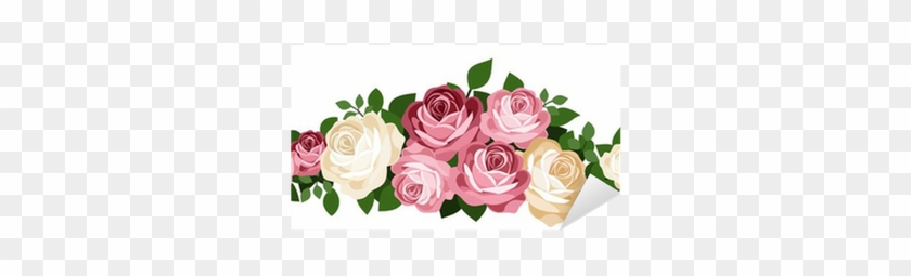 Pink And White Roses - Rosas Rosas Blancas Vectores #877024