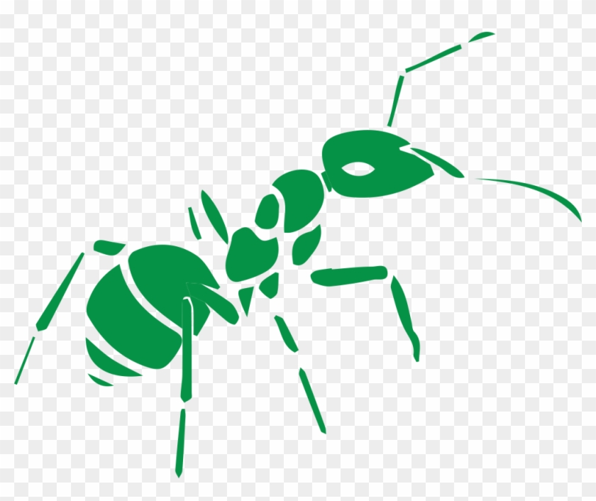 Ant - Vevtor Ant #877082