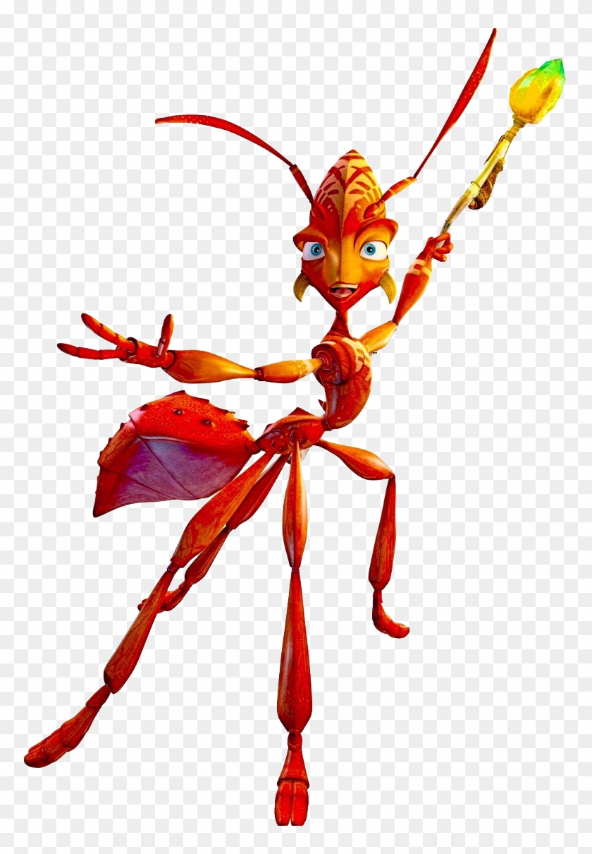 Zoc - Ant Bully Ant #877099