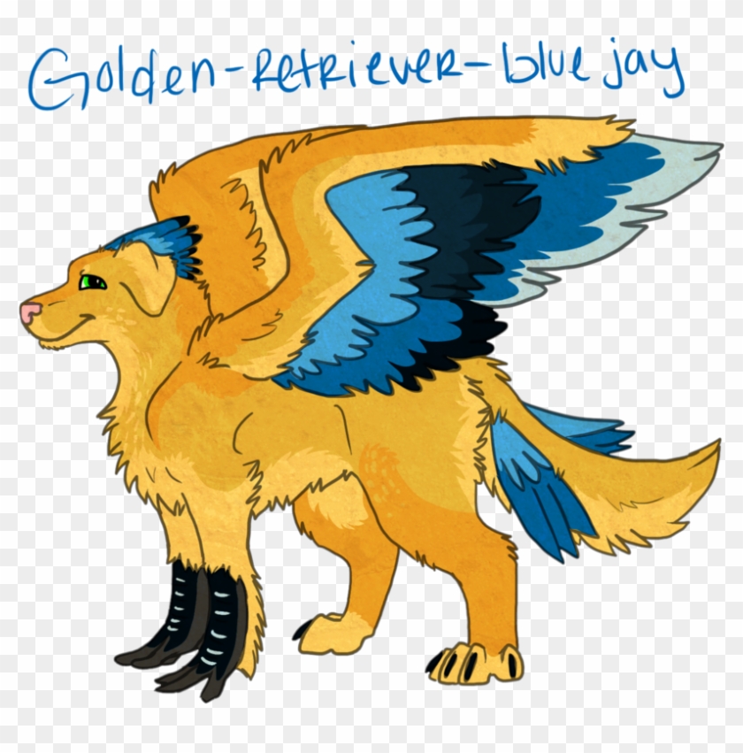Golden Retriever-blue Jay By Acidraincloud - Companion Dog #877315