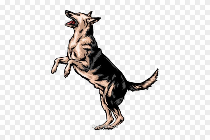 German Shepherd Clipart Group - German Shepherd Standing On Hind Legs #877515