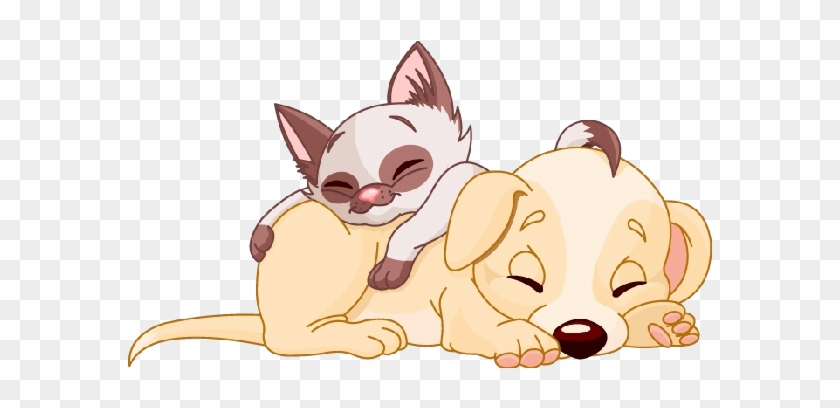 Cats And Dogs Dog Cartoon Images - 貓 狗 插圖 - Free Transparent PNG Clipart  Images Download