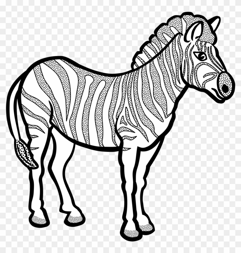 Zebra - Lineart - Zebra Line Art #877731