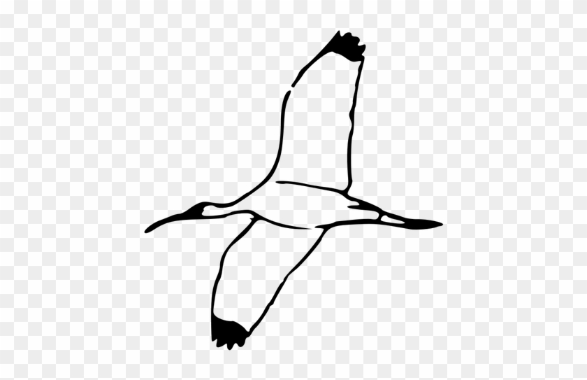 Tinkerbell Flying Public Domain Vectors - Bird Flying Clipart Black And White #877800