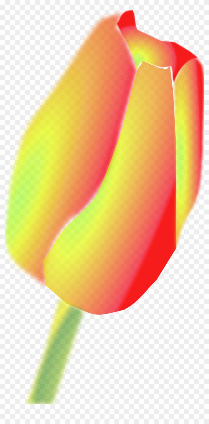 Big Image - Tulip Clip Art #877813