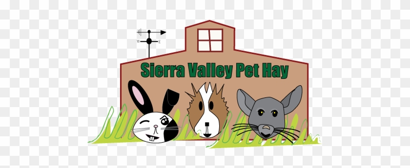 Rabbit Hay, Hay For Your Rabbit Or Other Small Pet, - Hay #877834