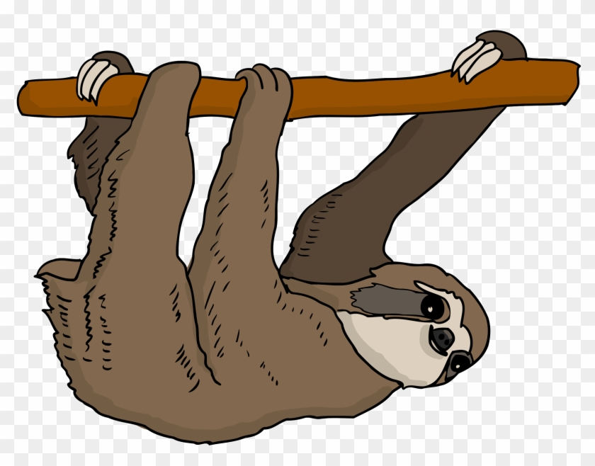 Black White Cute Cartoon Sloth Hanging Stock Photo - Sloth Clipart #877908