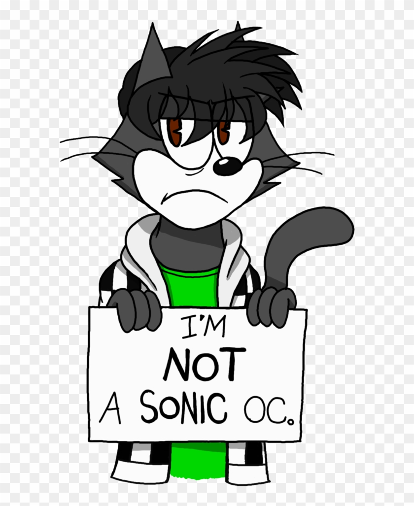 I'm Not A Sonic Oc By Ftftheadvancetoonist - Digital Art #878134
