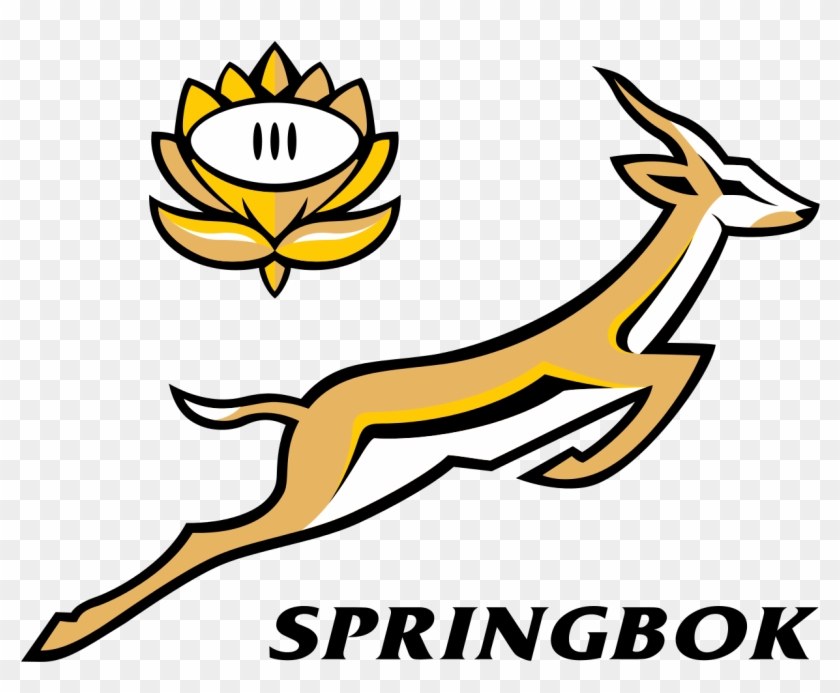 South Africa National Rugby Union Team - South Africa National Rugby Union Team #878210