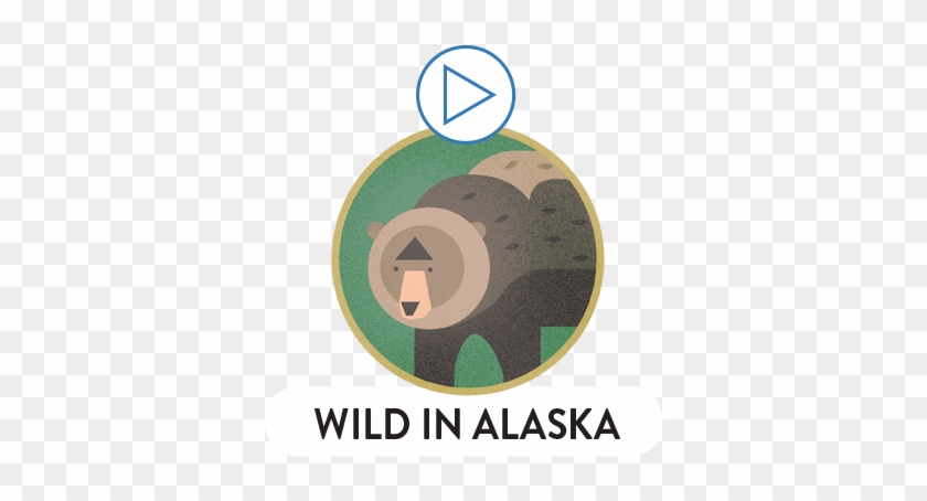 Alaskan Wildlife - Deutscher Fussball Bund #878792