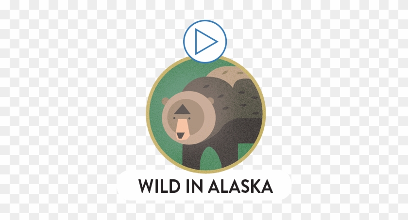 Alaskan Wildlife - Deutscher Fussball Bund #878792