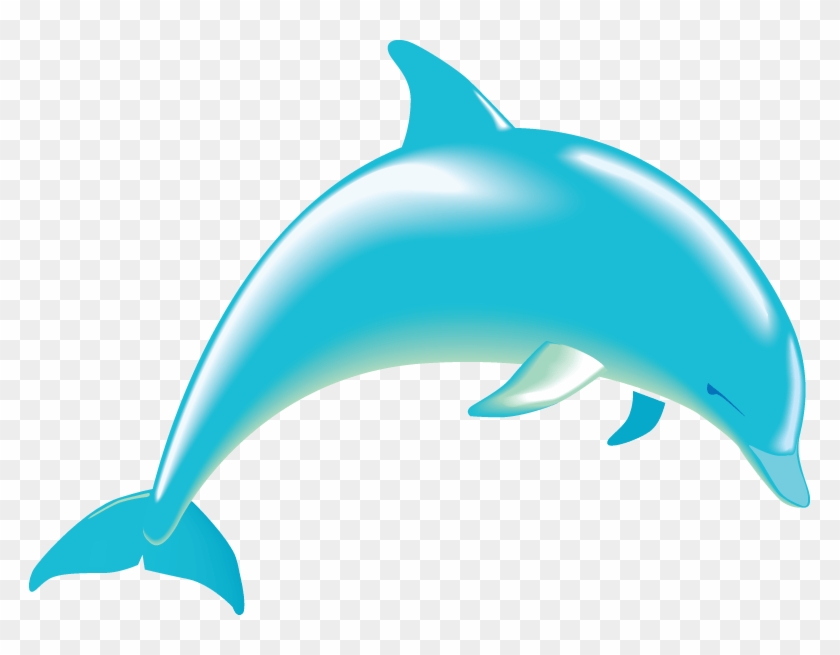 Dolphin Pictures Clip Art - Clip Art #878839