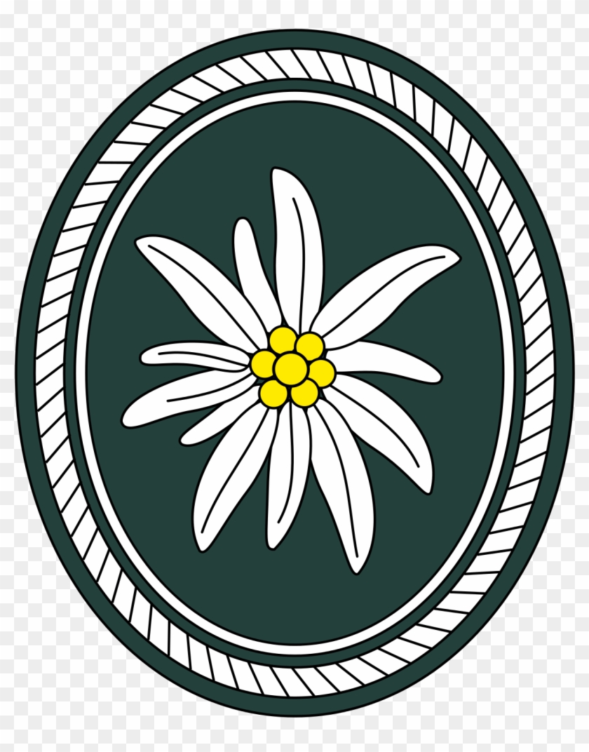 Bundeswehr Gebirgsjäger Abzeichen #878861