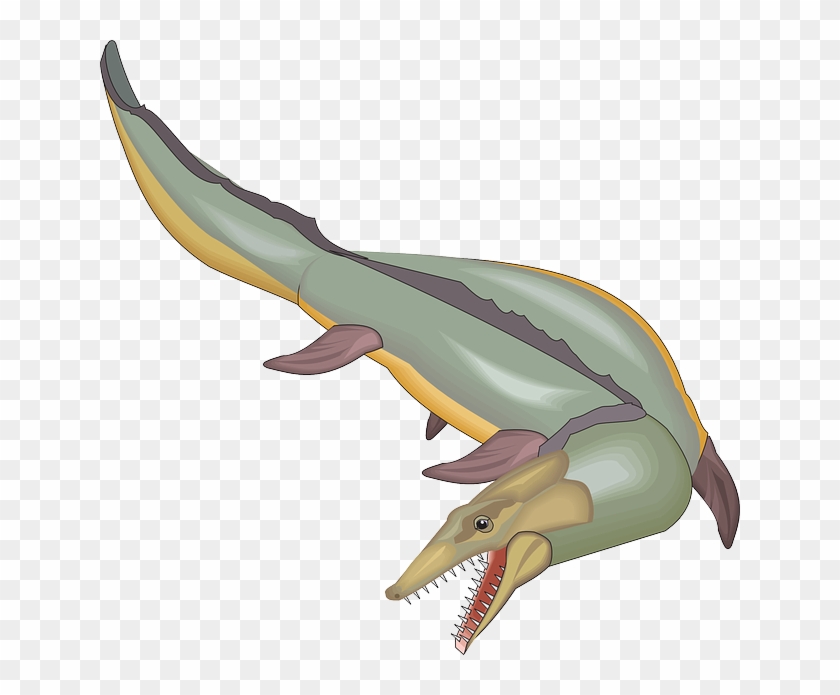 Swimming, Tail, Ancient, Aquatic - Mosasaurus Clipart #878922