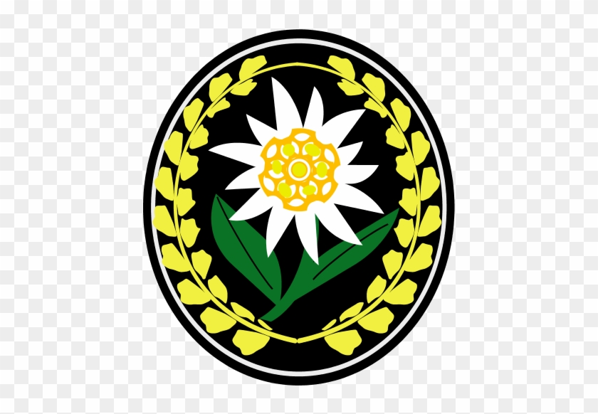 Edelweiss - Circle #879126