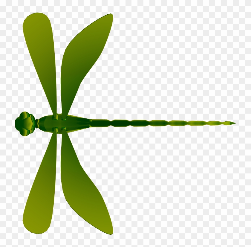 Libelula - Libélula Png #880472