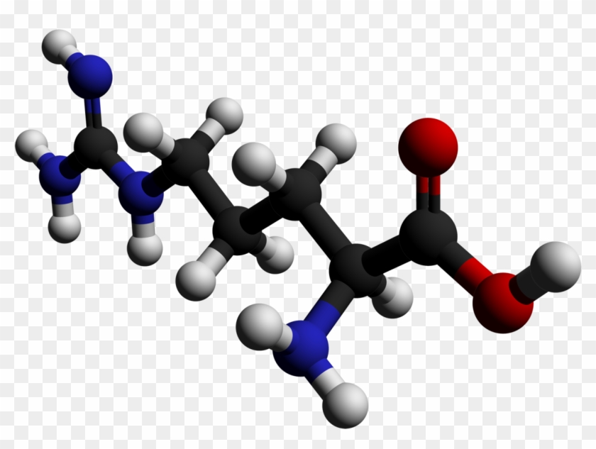 L-arginine Testosterone Research Review - Arginine #880605