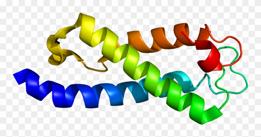 Protein Data Bank #880678