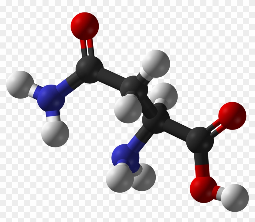 L Asparagine 3d Balls - L Alanine Vs D Alanine #880679