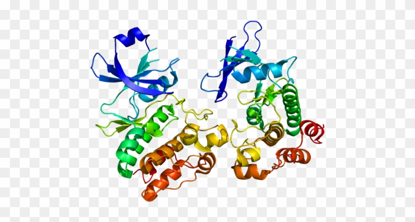 Available Structures - Anti Mullerian Hormone Structure #880685