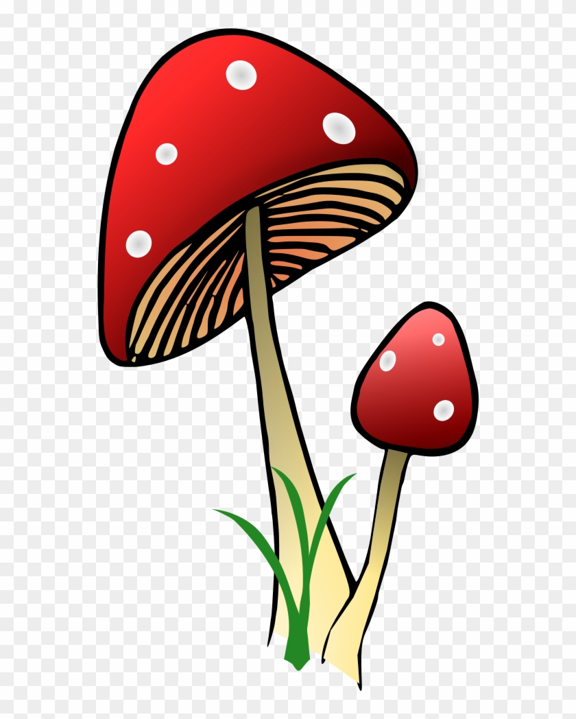 Red And White Mushrooms - Red #880700