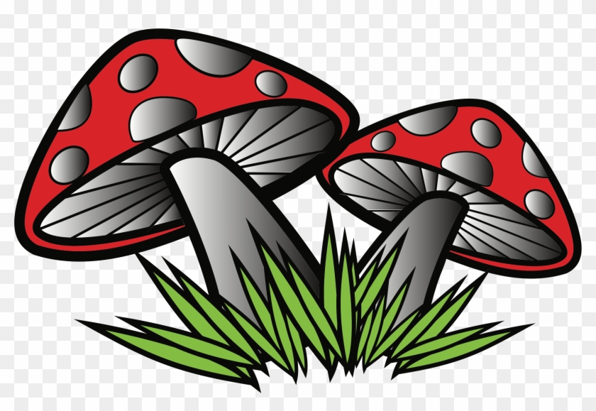 Big Image - Toadstool Clipart #880708