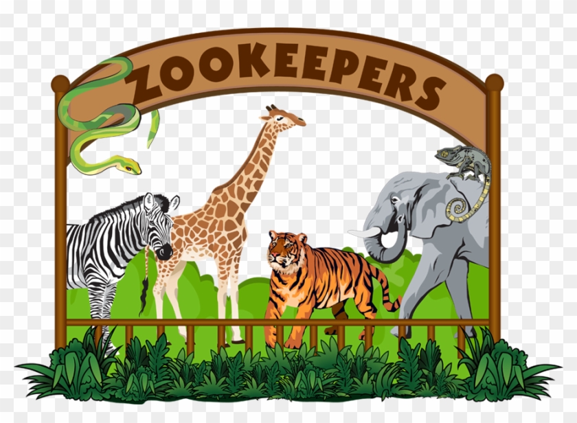 Clipart Png Zoo - Clipart Images Of Zoo #880753