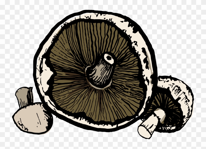 Mushrooms - Illustration #880757