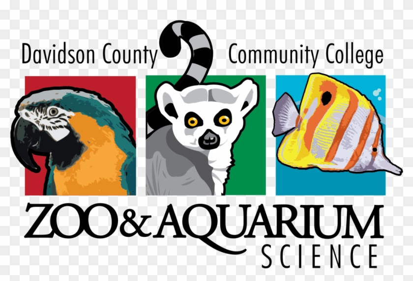 Aquarium Clipart Zoo - Dccc Zoo Aquarium Science Program #880775