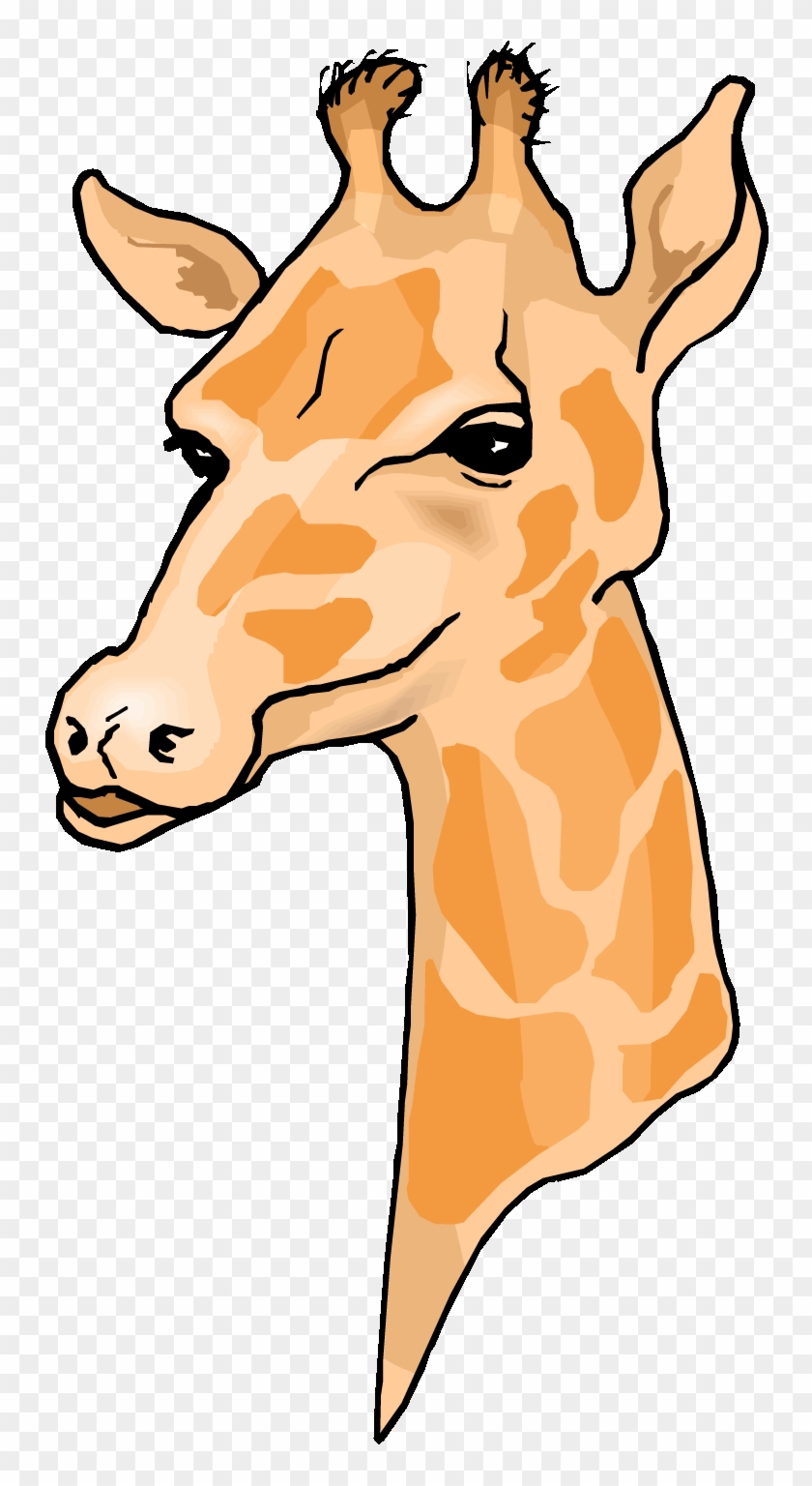 Giraffe 0 Images About Clip Art Zoo Jungle Animals - Giraffe Dog Tag #880799