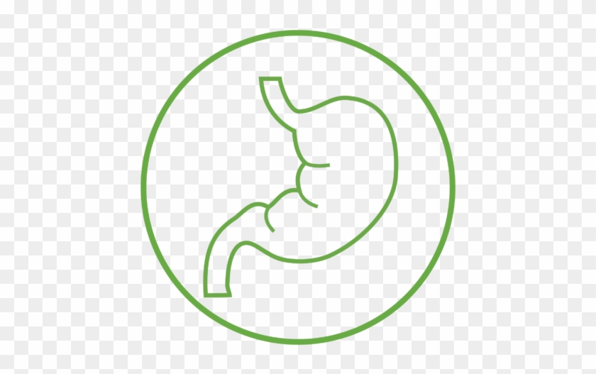 Easily Digested & Absorbed - Circle #880808