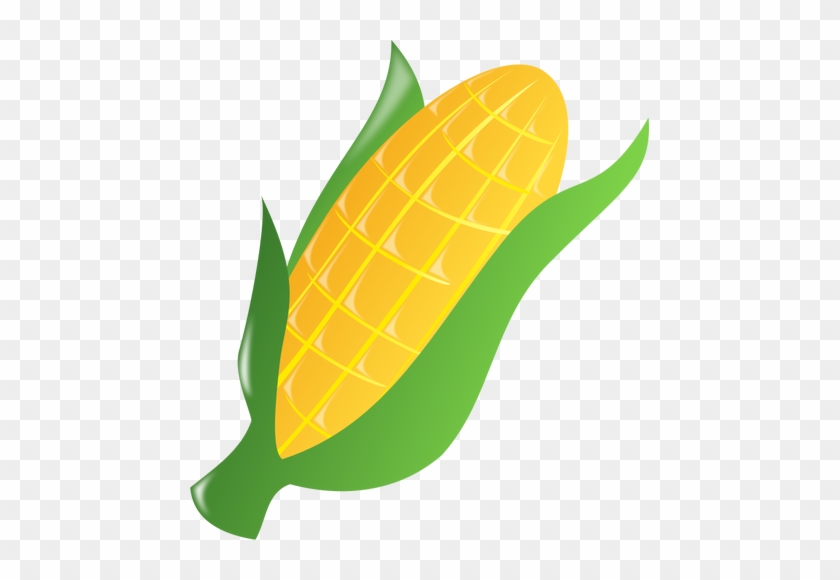 Corn On The Cob 2 Public Domain Vectors - Ear Of Corn Clipart #881190