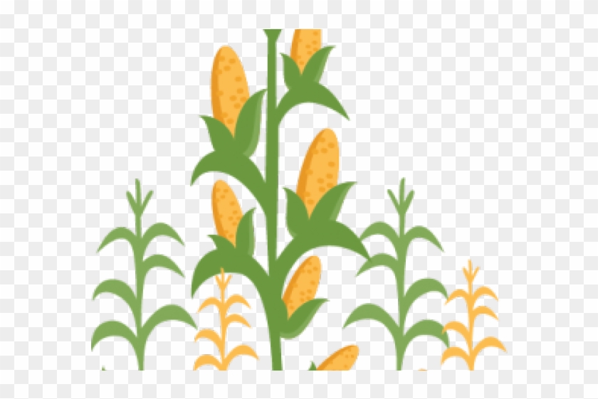 Stalk Clipart Clipart Corn - Corn Stalk Corn Clipart #881201