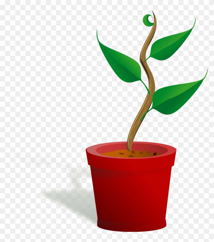 Cereal Plant Clipart, Vector Clip Art Online, Royalty - Growth And Development Png #881351