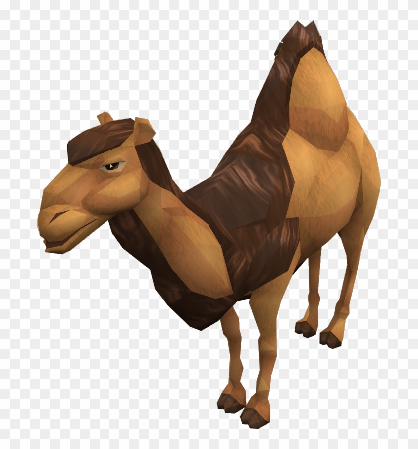 48, November 14, 2012 - Runescape Camel #881506