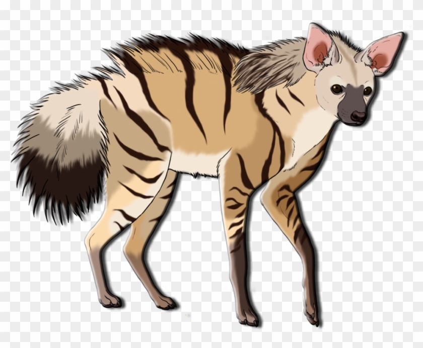 Aardwolf Life Cycle - Animal #881516