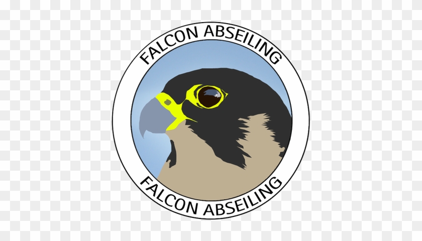 Falcon Abseiling - Red-tailed Hawk #881636