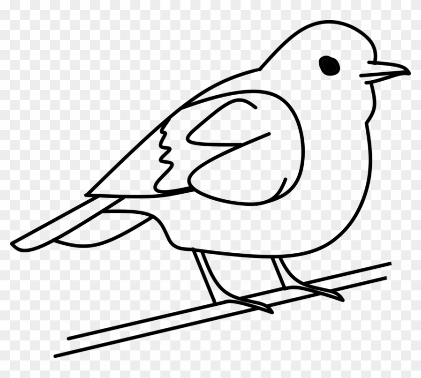 Line Clip Art Graphics Free Clipart Images - Bird Black And White #881957