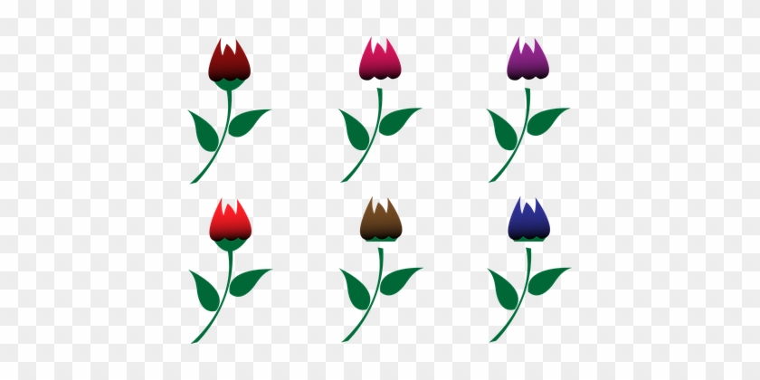 Roses, Flower, Colorful, Red, Blue - Vektor Bunga Warna Warni Png #882009