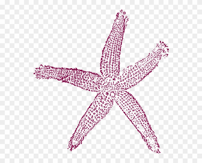 Starfish Prints Clip Art At Clker - Estrellas De Mar Png #882428