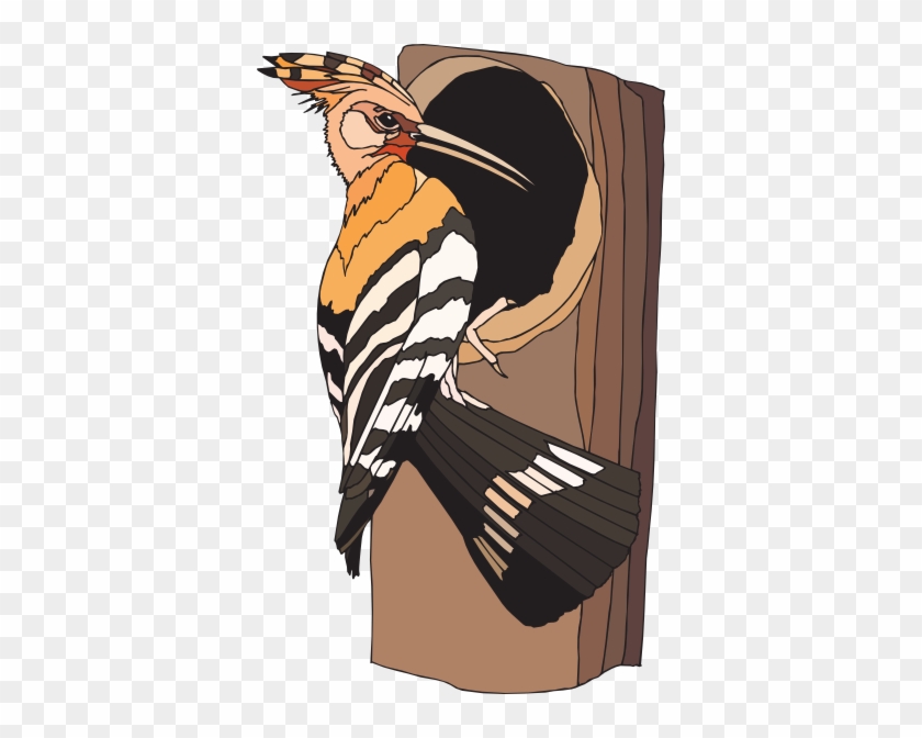 Bird Clipart - Else - Bird #882959