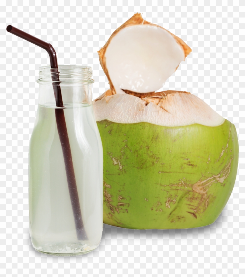 Coconut Water - Coconut Water #882978