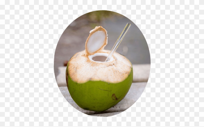 Free Green Coconut Png - Coconut Water With Straw #882982