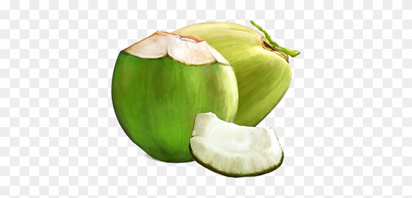 Tender Coconut - Green Coconut Fruit Png #882989