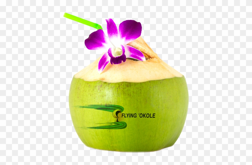 Business Consulting - Coconut Drink Flower #883017