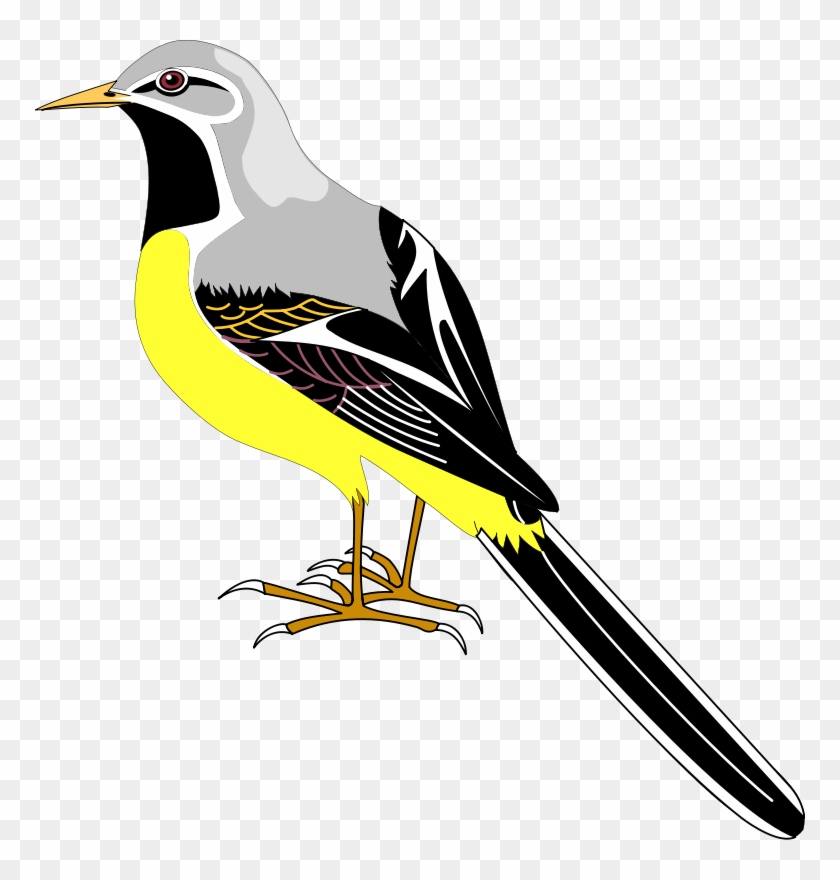 Free Vector Bird - Transparent Mockingbird Clipart #883033