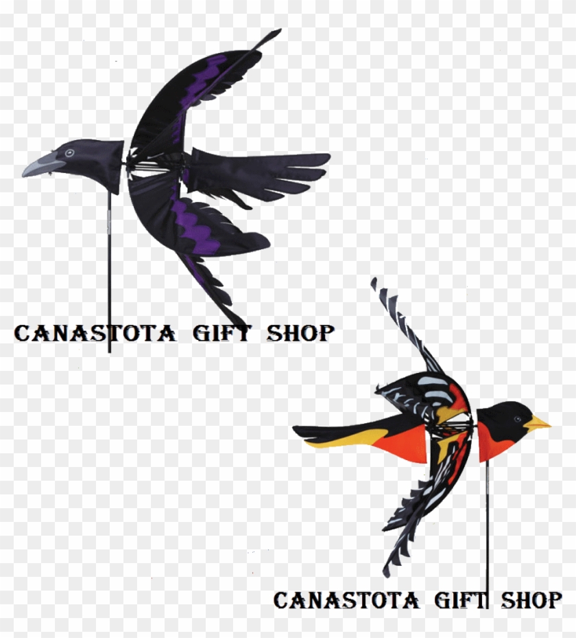 Catalog For Bird Wind Spinners Featured At The Best - Flying Creature Wind Spinner - Raven #883040