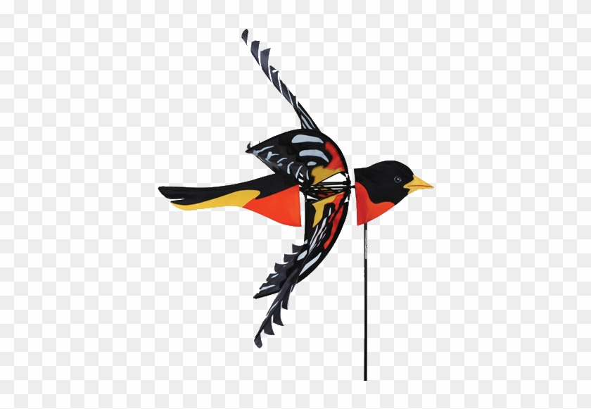 Northern Oriole Bird Spinners Upc - Spinner Wind Bird #883056