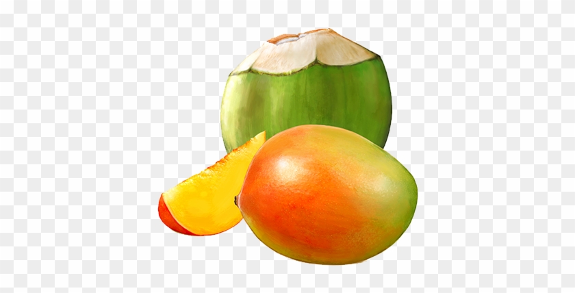 India Mango Beverage, India Mango Beverage Manufacturers - Mango & Coconut #883057