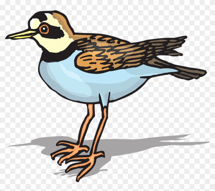 Bird Flying Clipart 29, Buy Clip Art - Plover Clipart #883060